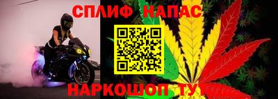 прущие грибы Бугуруслан