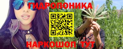 прущие грибы Бугуруслан