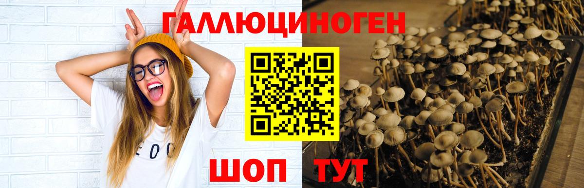 Псилоцибиновые грибы ЛСД  Вход с VPN  Ленинск-Кузнецкий 